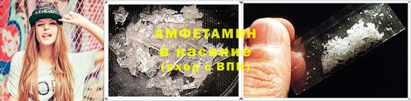молекула духа Горняк
