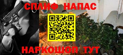 шишки Кинель