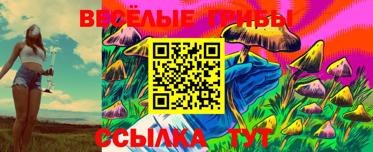 Галлюциногенные грибы прущие грибы Тобольск