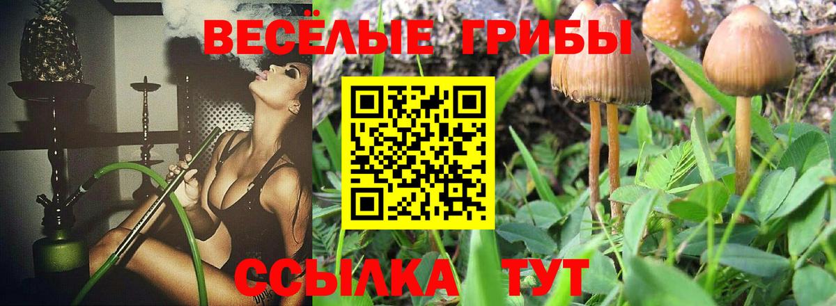 Тобольск  Галлюциногенные грибы GOLDEN TEACHER  Вход с VPN 